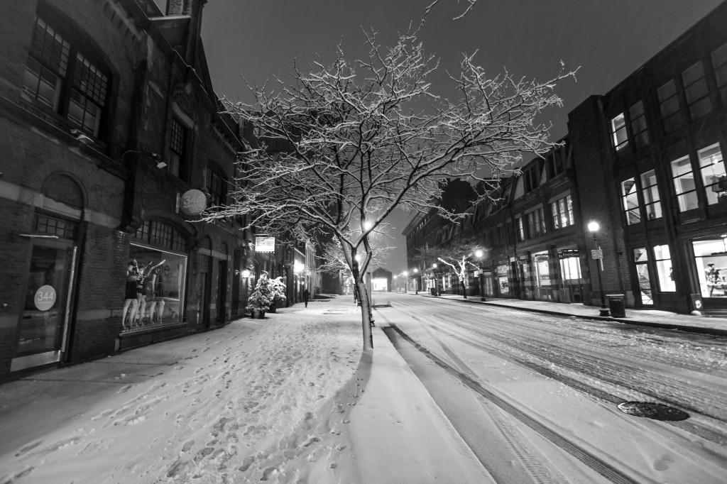 Snowy Newbury Street 